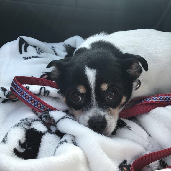 MEET YOUR POSHER - Picture 6 of 7